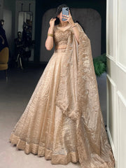 Golden Crush Organza Lehenga Choli – Festive & Party Wear